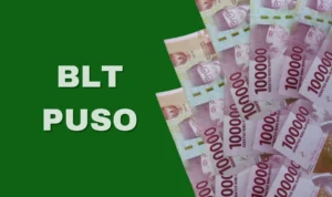 Ilustrasi Penjelasan Seputar BLT Puso yang Disalurkan oleh Pemerintah untuk Para Petani yang Terdampak Kondisi Berikut Ini/ JE