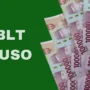 Ilustrasi Penjelasan Seputar BLT Puso yang Disalurkan oleh Pemerintah untuk Para Petani yang Terdampak Kondisi Berikut Ini/ JE