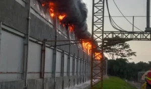Dugaan Korsleting Listrik, Peternakan Ayam di Nagrak Sukabumi Alami Kebakaran hingga Telan Kerugian Rp3 Miliar