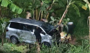 Kecelakaan di Cisarua Bogor, Mobil Terperosok ke Sawah, Begini Kronologisnya