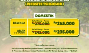 Luminous Journey Spesial Natal dan Tahun Baru 2024, Taman Safari Bogor Buka Promo Tiket Masuk!