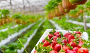 Rekomendasi Tempat Liburan untuk Anak di Bandung, Cocok untuk Membahagiakan Sang Buah Hati