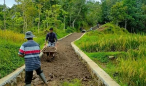 Pemkab Sumedang Gelontorkan Rp4 Miliar untuk Jalan Usaha Tani Pemkab Sumendang terus membangun Jalan Usaha Tani.