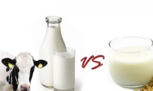 Susu Kedelai vs Susu Sapi, Mana yang Lebih Sehat?