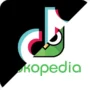 Resmi Gabung GoTo, TikTok Shop Akan Hadir Kembali Melalui Tokopedia