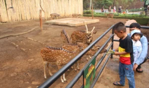 Iustrasi : Sejumlah masyarakat saat menikmati wisata di Kebun Binatang Bandung.