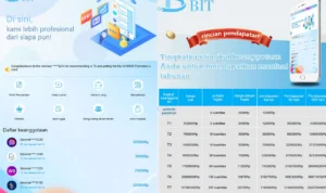Apakah Aplikasi Penghasil Uang BIT Aman Digunakan? Cek Faktanya