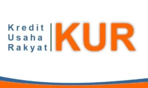UMKM Berpeluang Dapat KUR 2024 hingga Rp500 Juta Tanpa Agunan Asal Penuhi Syarat ini UMKM Berpeluang Dapat KUR 2024 hingga Rp500 Juta Tanpa Agunan Asal Penuhi Syarat ini