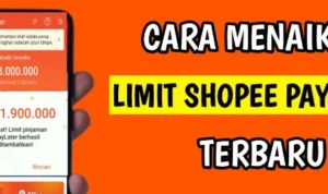 3 Langkah Mudah untuk Menaikkan Limit Shopee PayLater