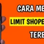 3 Langkah Mudah untuk Menaikkan Limit Shopee PayLater