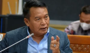 TB Hasanuddin: Cawe-Cawe Presiden Jokowi Semakin Mengkhawatirkan