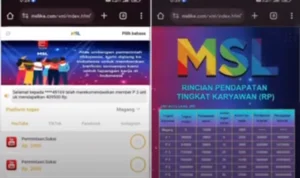 Aplikasi MSL Penghasil Uang atau Skema Ponzi? Ini Fakta Kok Mirip VCCP Aplikasi MSL Penghasil Uang atau Skema Ponzi?