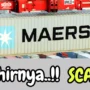 Akhirnya Aplikasi MAERSK Terbukti Scam!!