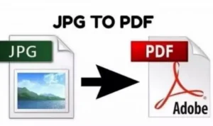 3 Cara Mengubah Foto Menjadi Dokumen PDF Tanpa Ribet! 3 Cara Mengubah Foto Menjadi Dokumen PDF
