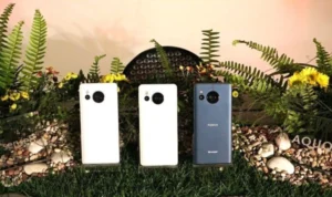 Sharp Bekali AQUOS Sense8 RAM dengan Baterai 5.000mAh, Segini Harganya!