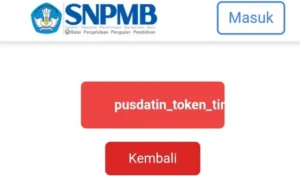 Para siswa yang mendaftar akun SNPMB 2024 mengalami error bertuliskan 'Pusdatin Token Timeout'/ X atau Twitter @utbkcak