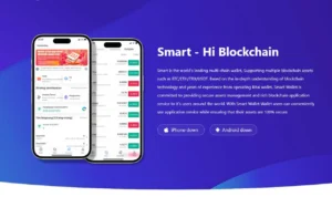 Inilah Tanda-tanda Aplikasi Smart Wallet Scam!