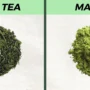 Perbedaan Antara Matcha dan Green Tea, Serupa Namun Berbeda..