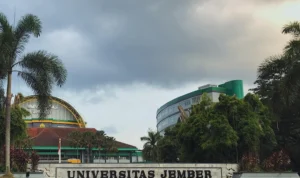 Cek Daftar Prediksi Nilai Rata-Rata Rapor SNBP 2024 di Universitas Jember (UNEJ)/ Instagram @weloveunej