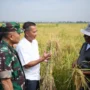 Panen Padi Gembira Salibu di Kabupaten Bandung, Pj Gubernur Jabar Yakini Hasil Produksi Lebih Baik untuk Ketahanan Pangan PJ Gubernur Jawa Barat, Bey Triadi Machmudin (tengah baju putih) saat menghadiri langsung panen Padi Gembira Salibu di wilayah Kecamatan Banjaran, Kabupaten Bandung.