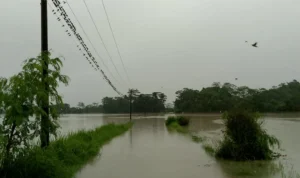 Akses jalan di Kecamatan Ciemas, Kabupaten Sukabumi yang terendam banjir, Jumat (19/1).