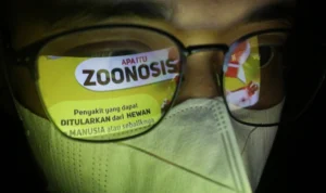 Doc. Ilustrasi Bakteri Zoonosis dalam Daging Anjing (Foto: Pandu Muslim)