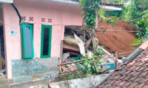 Longsor di Cibadak Sukabumi, 10 Rumah Terhatam Tanah 10 rumah di kampung Cibatu, Desa Sekarwangi Kecamatan Cibadak kabupaten Sukabumi terhantam longsor 4 lainnya terancam.