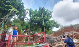 Longsor di kampung Cibatu Hilir, Desa Sekarwangi Kecamatan Cibadak kabupaten Sukabumi.
