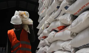 Harga Beras Naik: Pekerja memikul beberapa karung beras di Gudang Bulog, Gedebage, Kota Bandung.