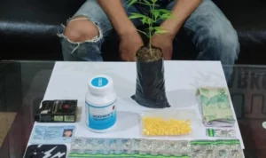 Obat Terlarang dan pohon ganja yang diamankan oleh pihak Kepolisian. Polres Sukabumi.