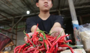 Diluar Beras, Harga Kepokmas di Pasar-Pasar Kota Bandung Cenderung Stabil