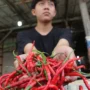 Diluar Beras, Harga Kepokmas di Pasar-Pasar Kota Bandung Cenderung Stabil