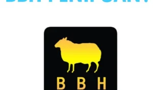 Benarkah Aplikasi BBH Indonesia Buka Cabang Baru Lagi?