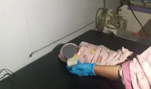 Geger! Bayi Dalam Kantong Plastik Ditemukan Security Perumahan Ciomas Hill
