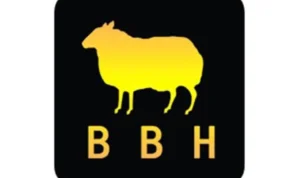 Aplikasi Penghasil Uang BBH Diduga Scam, Cek Faktanya Menurut Pakar