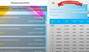 Aplikasi BIT di Ujung Tanduk! Rahasia Cara Kerja Penipuannya Terbongkar