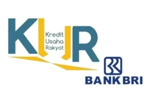 Syarat dan Prosedur KUR BRI 2024 yang Siap Dibuka