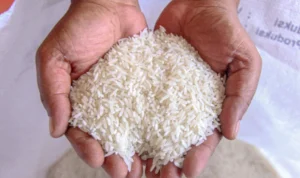Bansos Beras 10 Kg Tahun 2024 Siap Cair, Cek Informasinya!