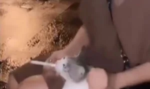 Wanita Viral yang Paksa Kucing Merokok Berujung Minta Maaf dan Mengaku hanya Candaan Wanita Viral Paksa Kucing Merokok Berujung Minta Maaf dan Mengaku hanya Candaan