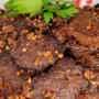 Rahasia Resep Empal Daging Sederhana untuk Masak di Rumah