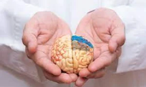7 Kebiasaan Sehari-hari yang Bisa Merusak Kesehatan Otak: Tips Santai untuk Jaga Otak Tetap Optimal