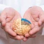 7 Kebiasaan Sehari-hari yang Bisa Merusak Kesehatan Otak: Tips Santai untuk Jaga Otak Tetap Optimal