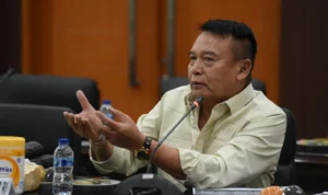 Anggota Komisi I DPR RI Mayjen TNI (p) TB Hasanuddin menyambut baik penundaan pembelian pesawat tempur Mirage 2000-5 bekas dari Qatar.