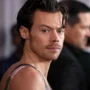 Harry Style Jadi Korban Pelecehan Penguntit, Myra Carvalho Ditangkap!