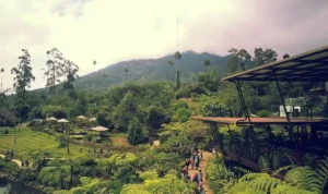 10 Destinasi Wisata Paling Estetetik di Bandung, Panorama Alam hingga Wahana Seru! 10 Destinasi Wisata Paling Estetetik di Bandung, Panorama Alam hingga Wahana Seru!