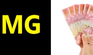 Investasi OMG Penghasil Uang Berskema Ponzi
