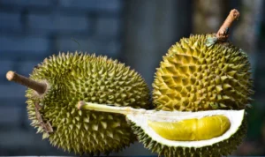 Durian Lebih Dari Sekadar Mitos, Ini Fakta Unik yang Perlu Kamu Tahu!