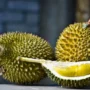 Durian Lebih Dari Sekadar Mitos, Ini Fakta Unik yang Perlu Kamu Tahu!