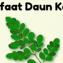 Manfaat Daun Kelor Menyembuhkan Penyakit Ringan hingga Berat