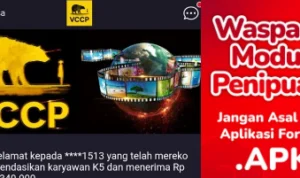 Fakta yang Harus Kamu Ketahui Aplikasi VCCP Penipuan! Fakta yang Harus Kamu Ketahui Aplikasi VCCP Penipuan!